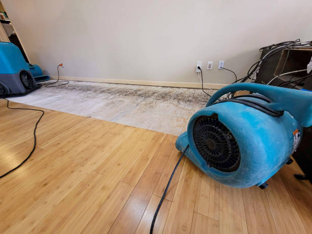 Professional Water Damage Repair technician working in Sanborn, IA